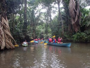 Kayaking the Tortuguero Canals in Costa Rica
