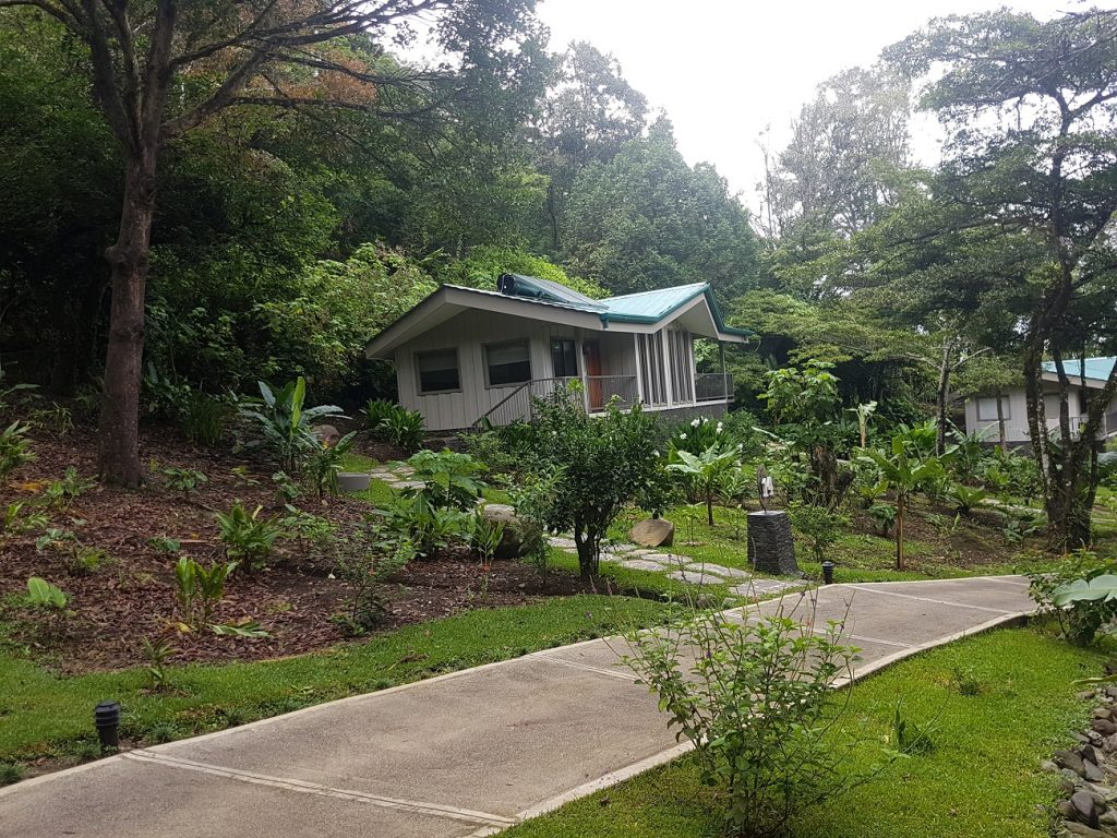 Amazing bungalow in Monteverde Costa Rica