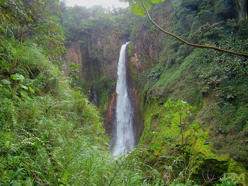 Toro Waterfall in Bajos del Toro, the highest waterfall in Costa Rica