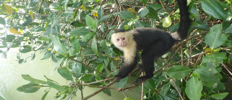 Manuel Antonio, Costa Rica