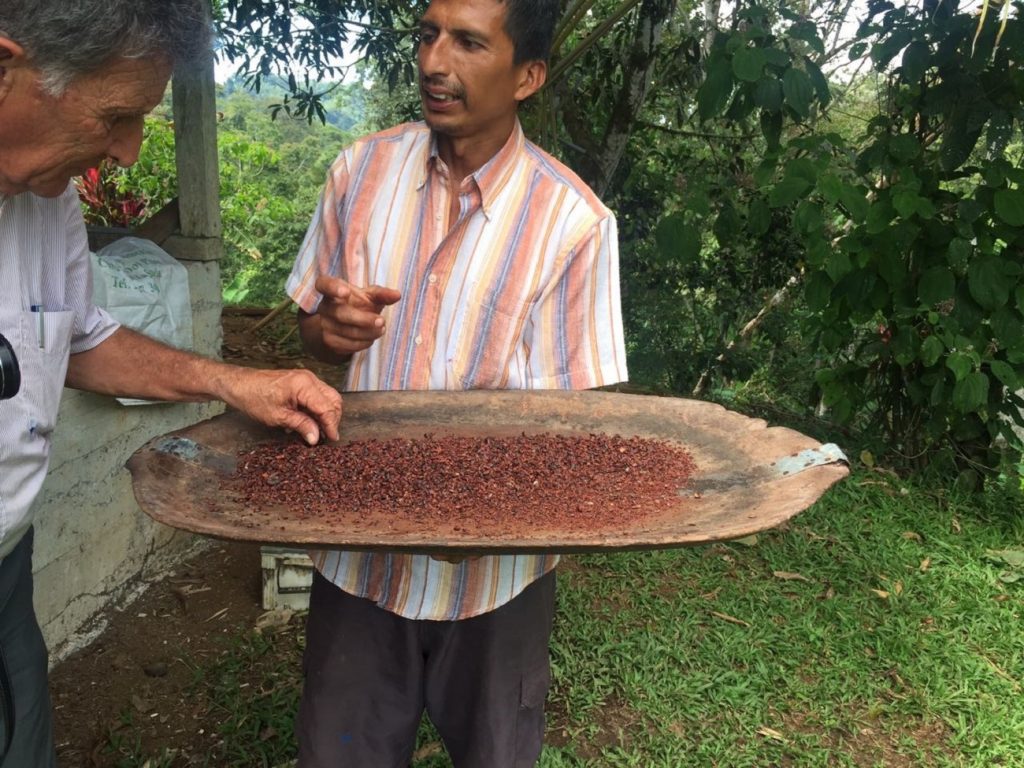Coffee making process in Costa Rica
