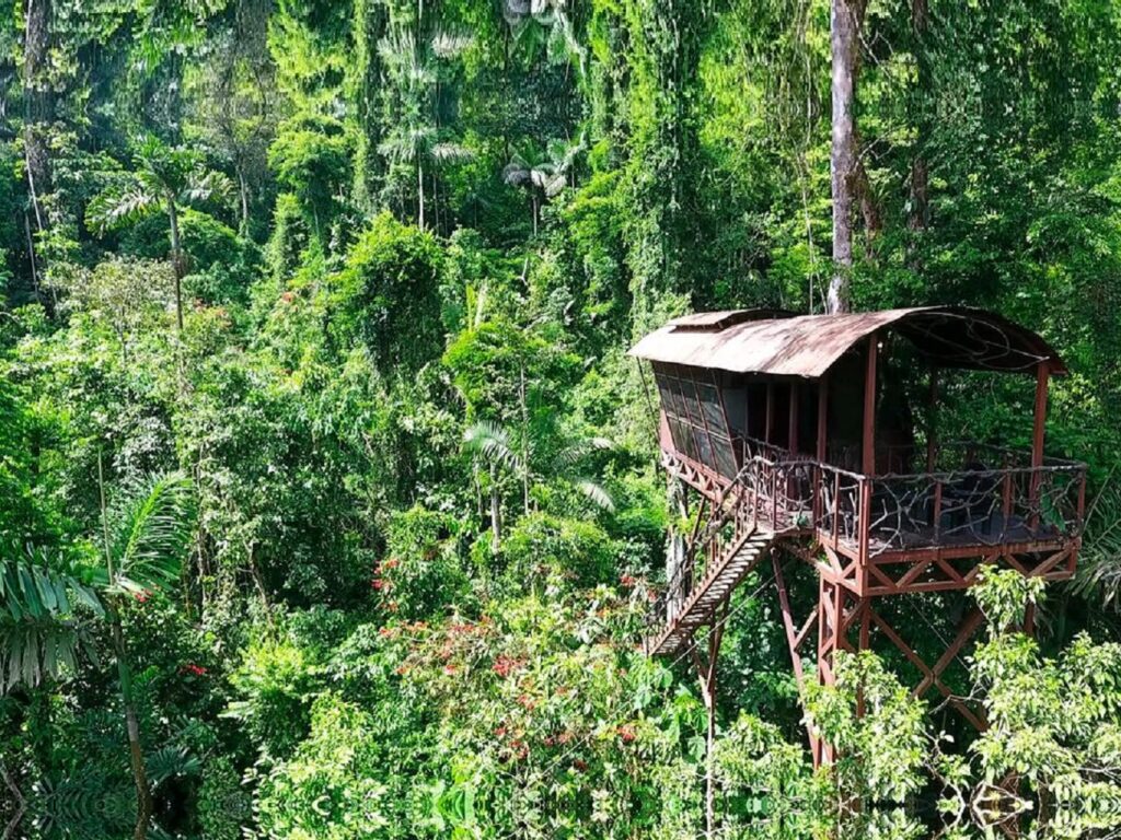 A tree house in Boca Tapada, Costa Rica