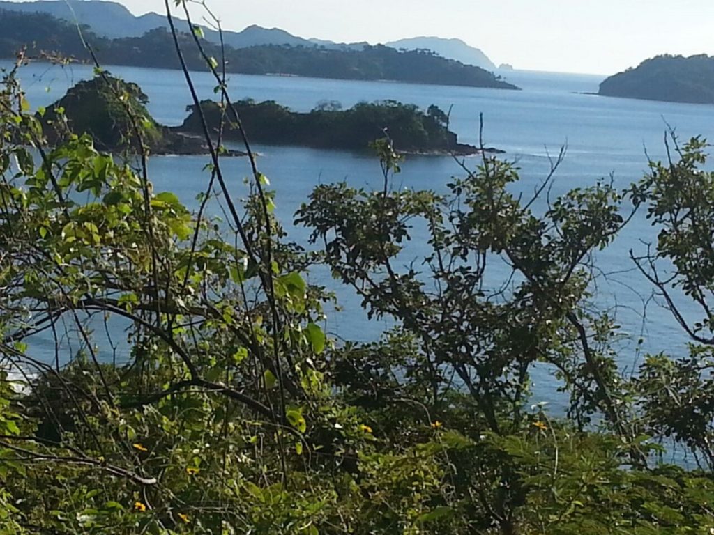 Guanacaste