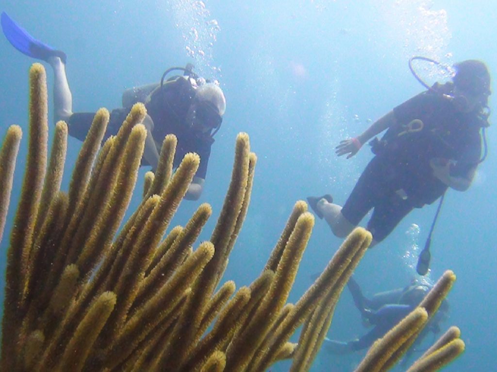 Buzos en el área de Tamarindo de Costa Rica