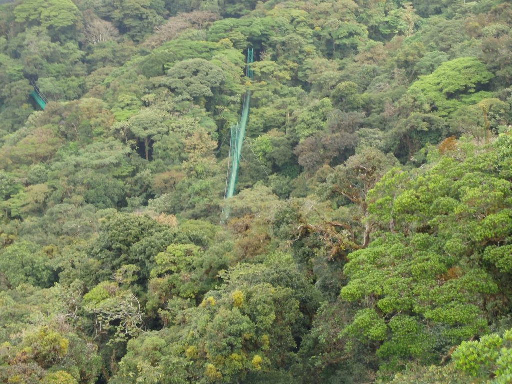 Un puente colgante en Monteverde, Costa Rica