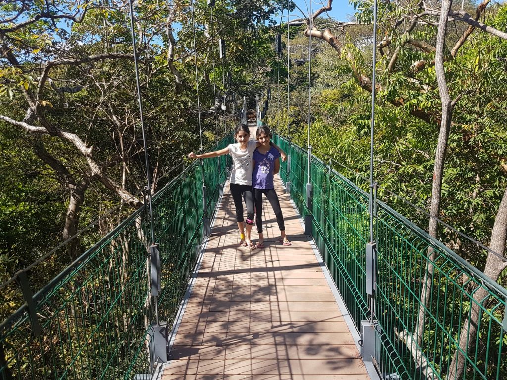 Un puente colgante en Río Perdido en Costa Rica