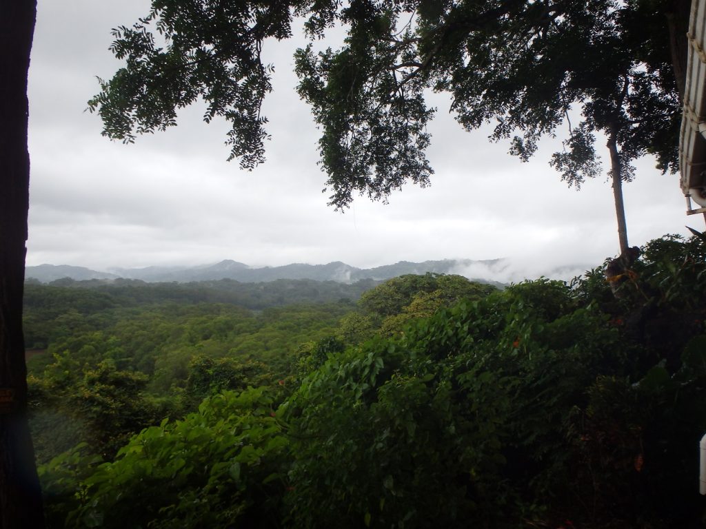 La naturaleza infinita en Nosara Costa Rica