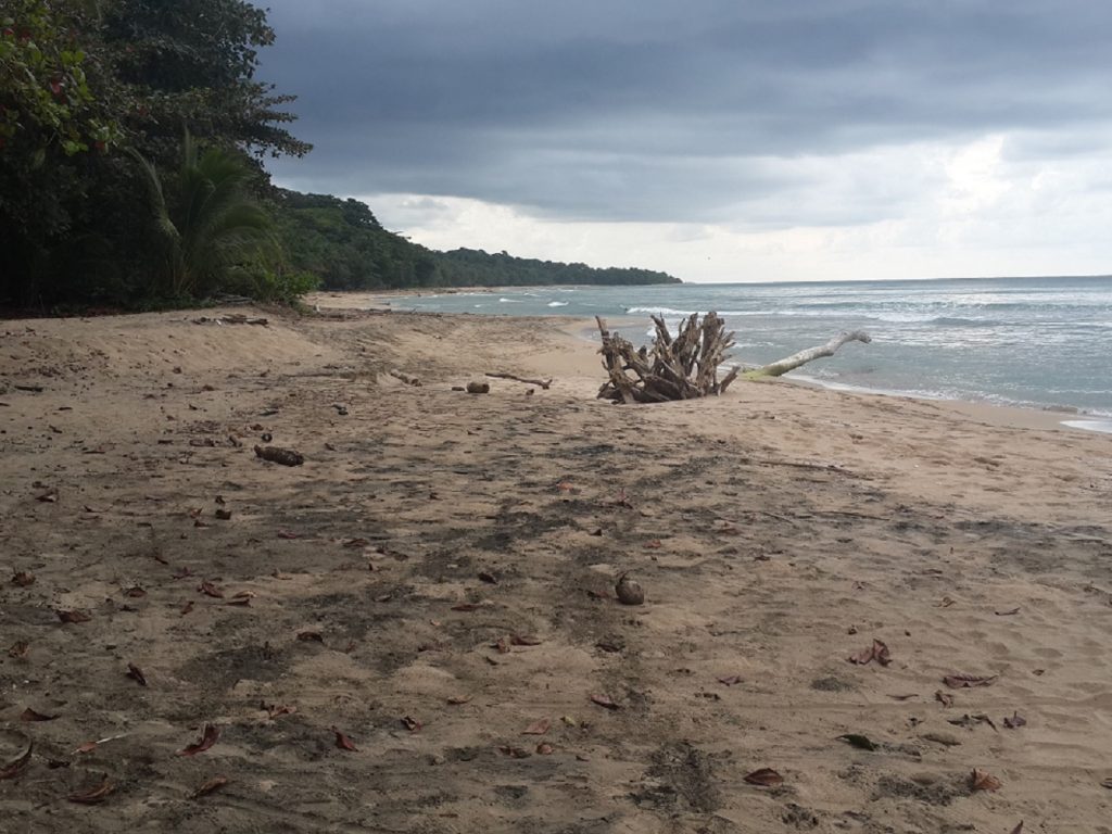 Una playa virgen en Puerto Viejo, Costa Rica