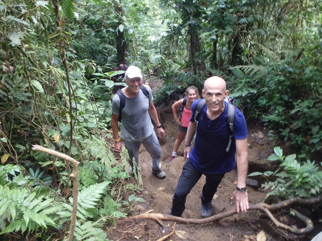 Trepando en el área de Arenal durante un recorrido por la naturaleza en Costa Rica